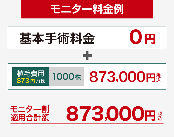 1,000株のモニター料金例、基本手術料金0円、合計873,000円（税込）